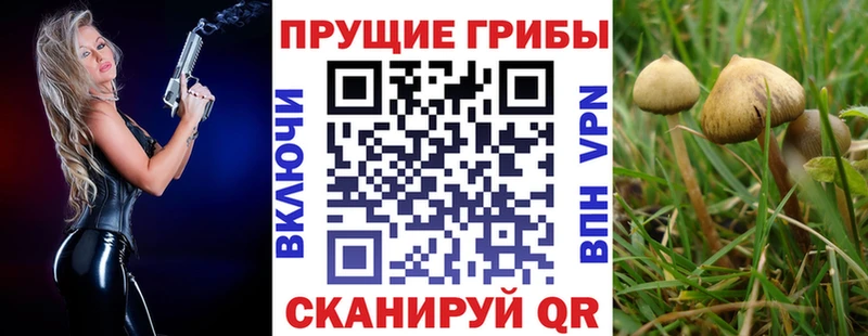 Псилоцибиновые грибы Magic Shrooms  Купить  Красный Сулин 