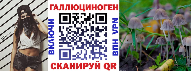 Псилоцибиновые грибы GOLDEN TEACHER Красный Сулин